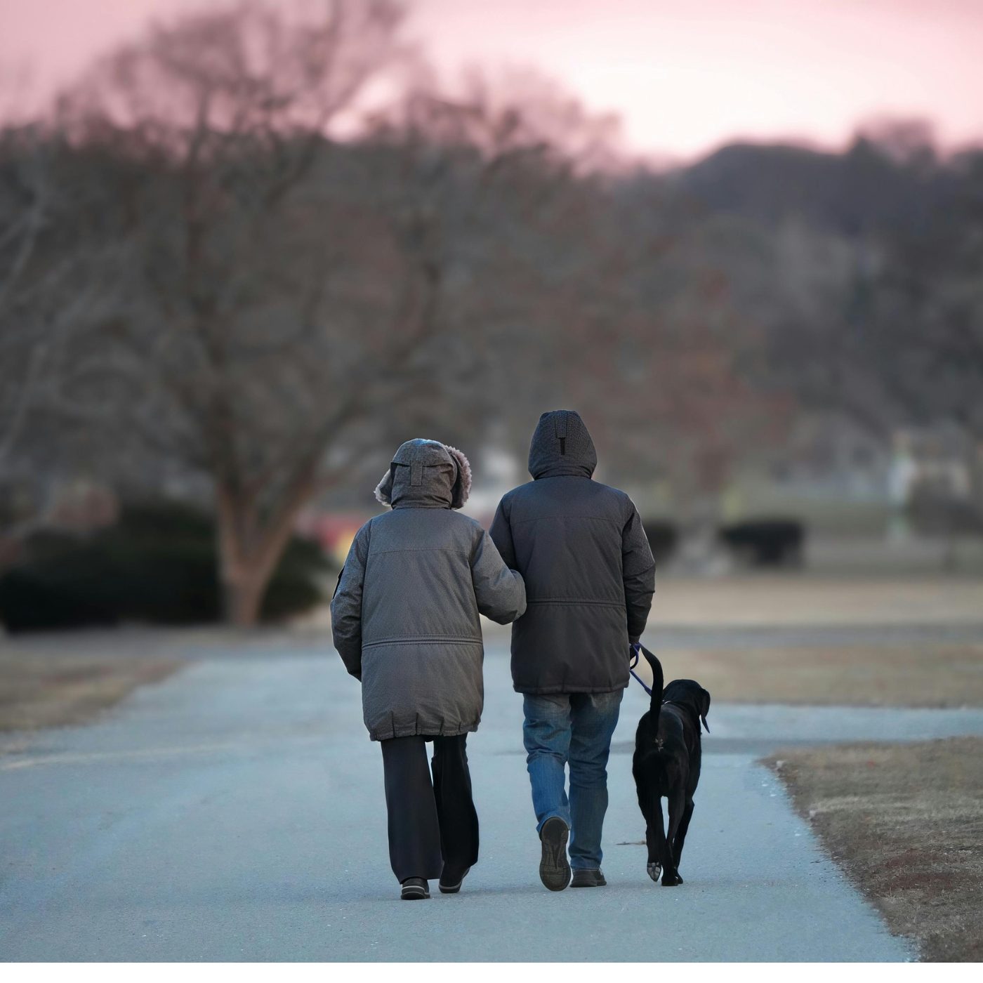 Walking in the neighborhood